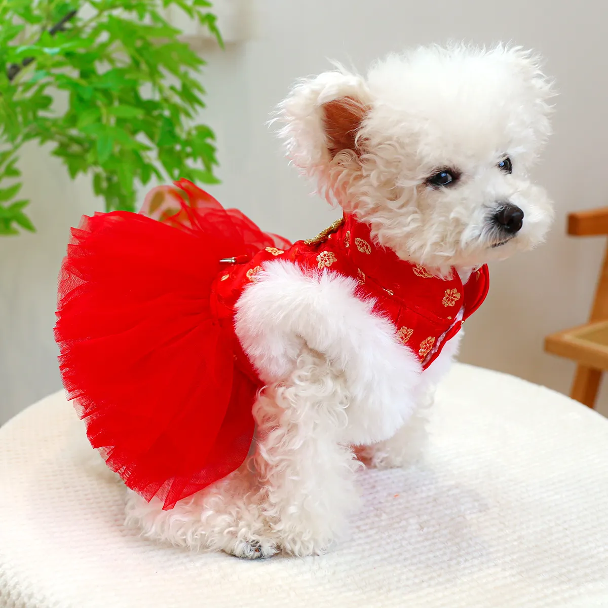 sachin and babi light blue dress Autumn and Winter Dog Couple Dress Dog Four Legged Pants Pet Base Coat Cat  Clothing Pet Puppy Clothes Dogs Jumpsuit Puppy