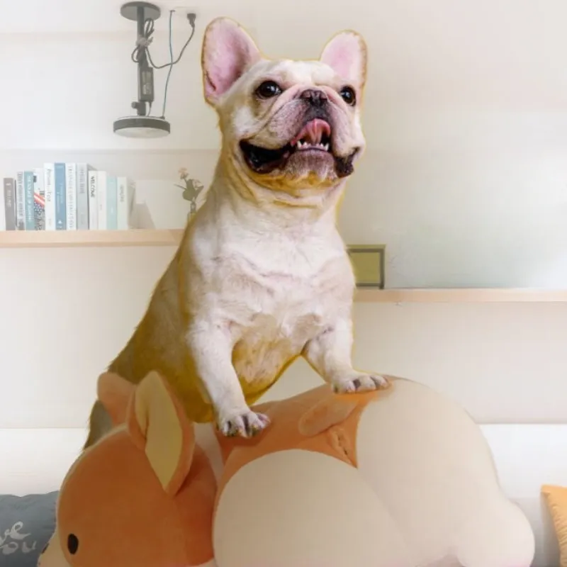 Soft Stuffed Dog Sex Toy Harness Interactive Plush Toy for Small Dogs, 40CM/60CM, Fleece, Down Cotton Filling from Dhgate Dog Plush Toys - price 13.06 Soft Stuffed Dog Sex Toy Harness Interactive Plush Toy for Small Dogs, 40CM/60CM, Fleece, Down Cotton Filling from Dhgate Dog Plush Toys - price 13.06