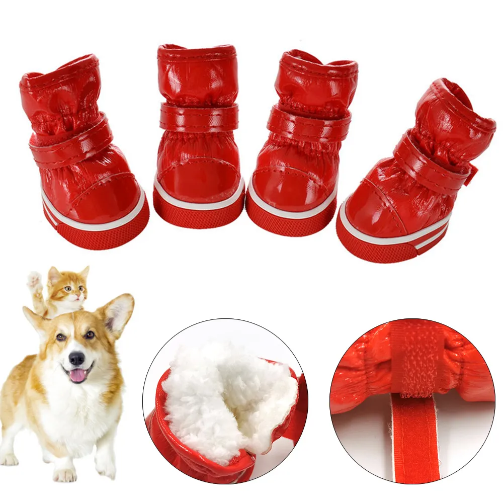 Extra small dog shoes outlet