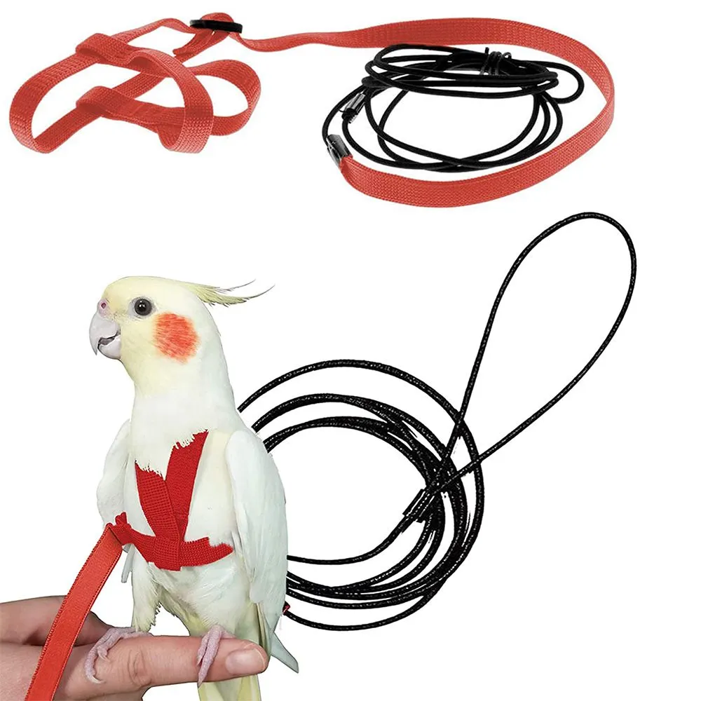 Parrot Training Rope with Anti-Bite Protection - Flying Leash & Harness ...