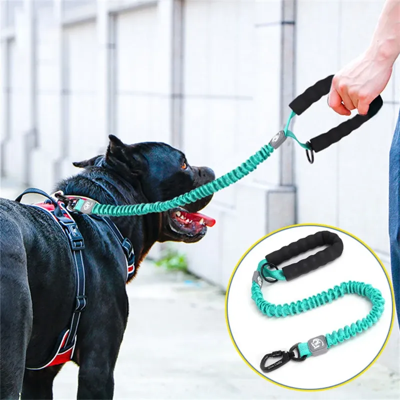 Bungee Dog Leash With Shock Absorption And Padded Handle For Dogs_voghion.com