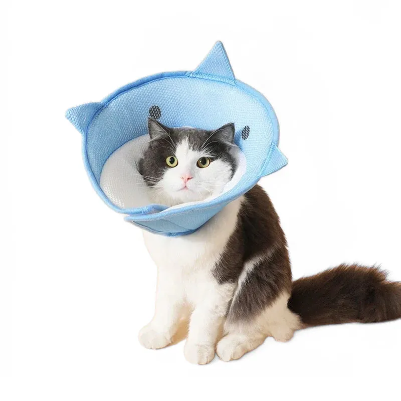 Adjustable Shark Pet Cone Collar For Kittens And Puppies Soft Comfortable And Prevents Licking Wounds Cat Supplies Near Me From Dh910351303 10.05 DHgate.Com