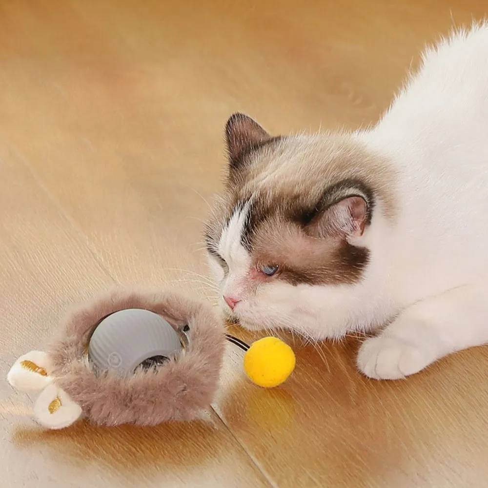 Cat toy ball with tail online