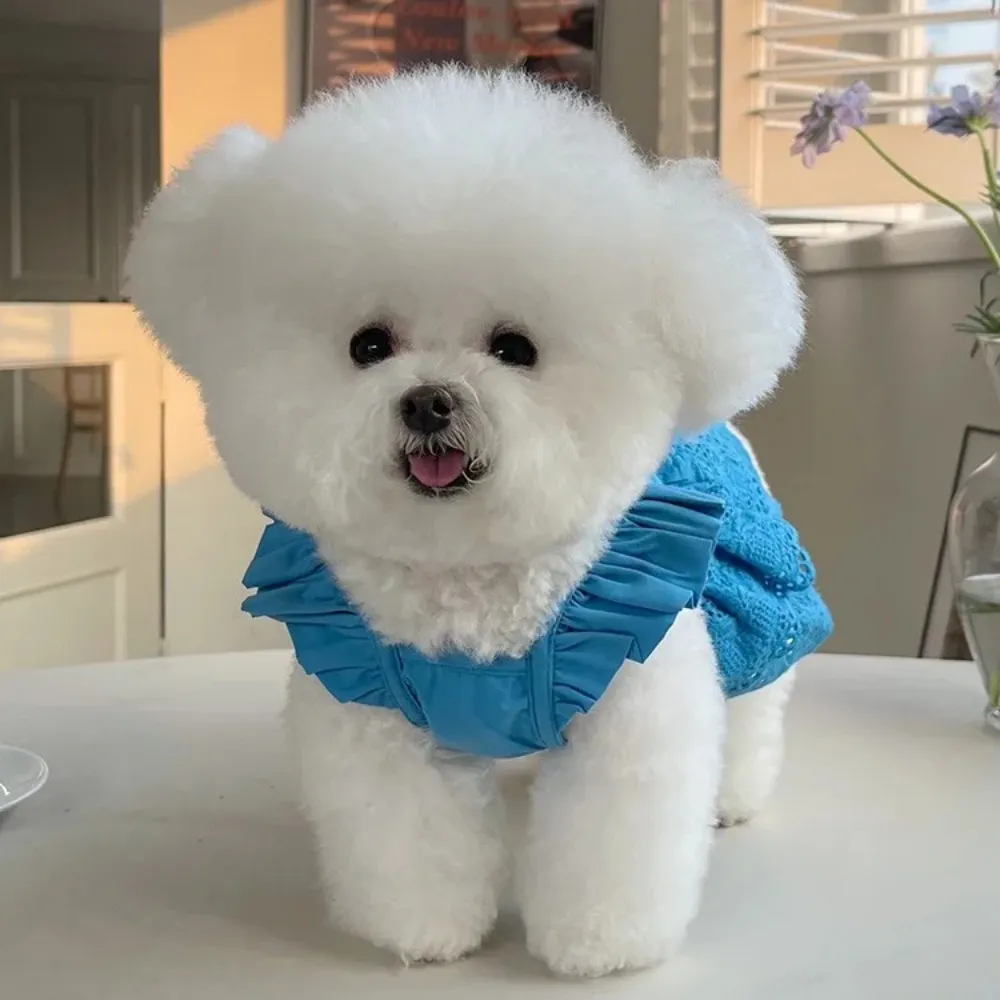 chinese dress ladies Layered Lace Princess Dog Dress Dog Clothes
