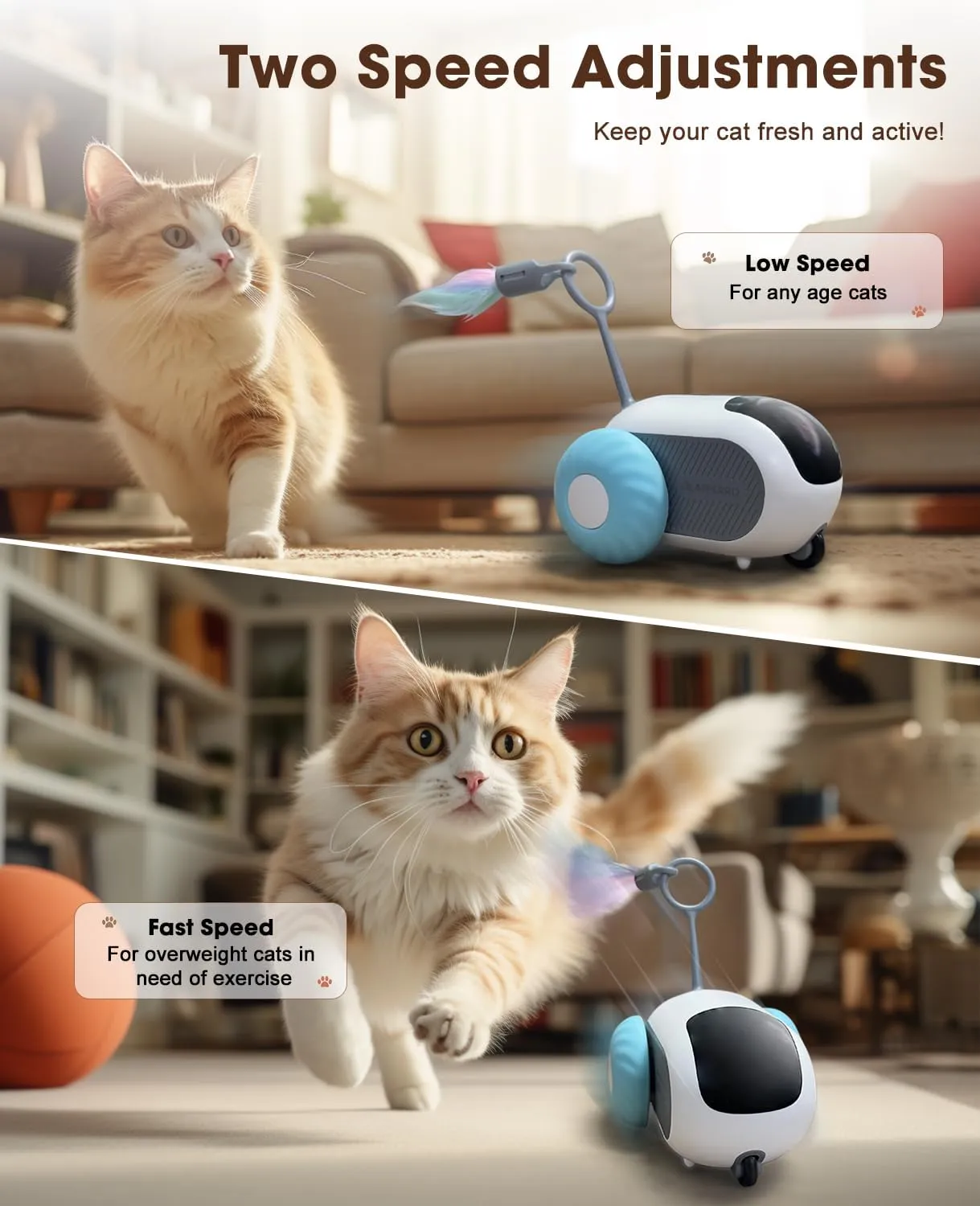 Cat toys for active cats 2025