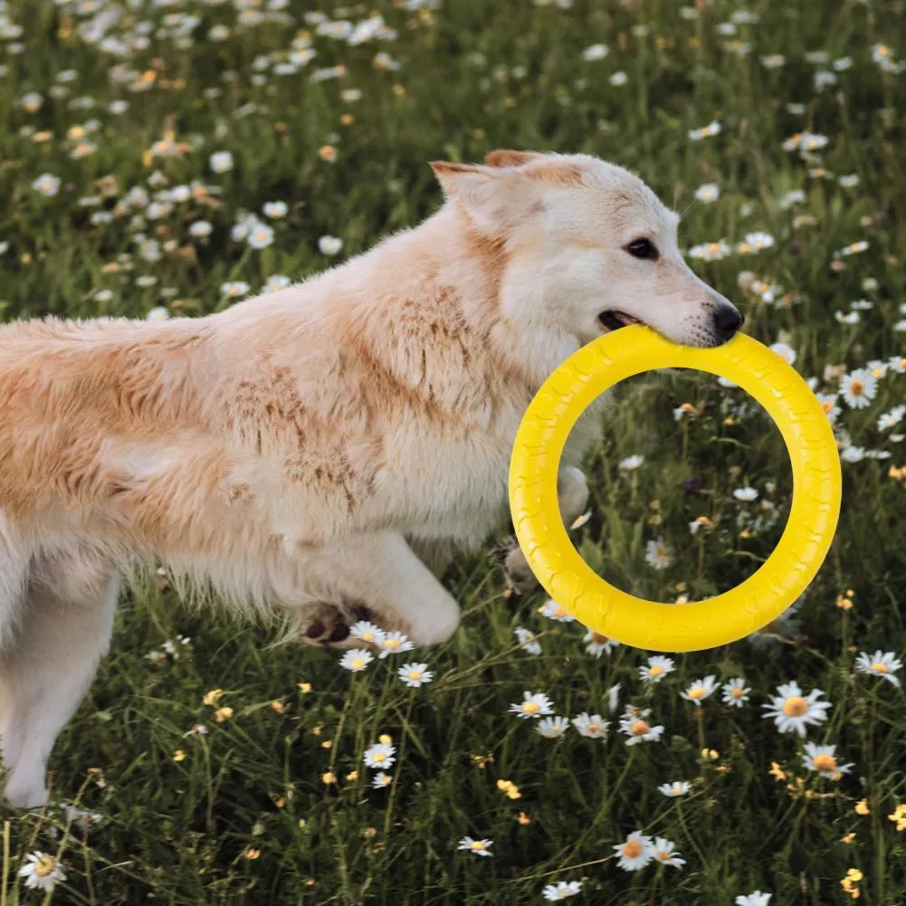 Good Puppy Bite Toy Dog Training Ring Long Lasting Bite Resistant Medium  Large Dog Flying Ring Bite Toys From Dhgate_yellowapp_1, $12.81 | DHgate.Com, image size:1001x1001