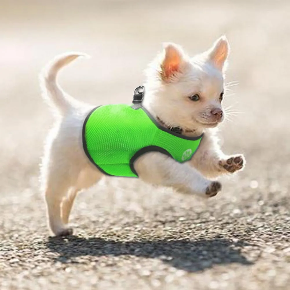 Dog Harness, Cute Dog Puppy doughnut No-Pull Pet Dog Harness with Leash