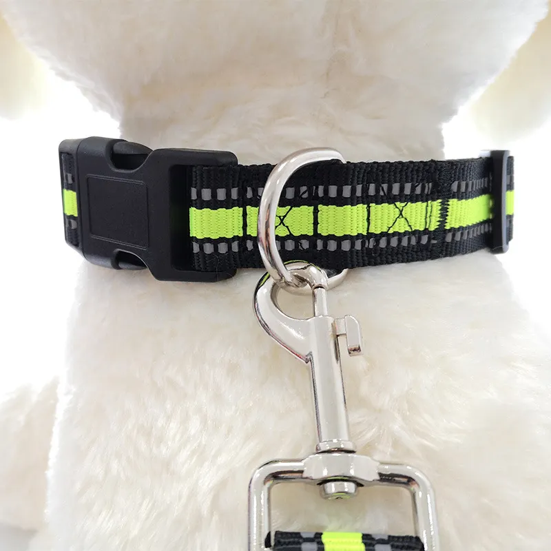 Reflektierendes Hundehalsband – Nylon Mit Neopren-Polster, Verstellbar 40–60 Cm | Für Kleine & Mittlere Hunde