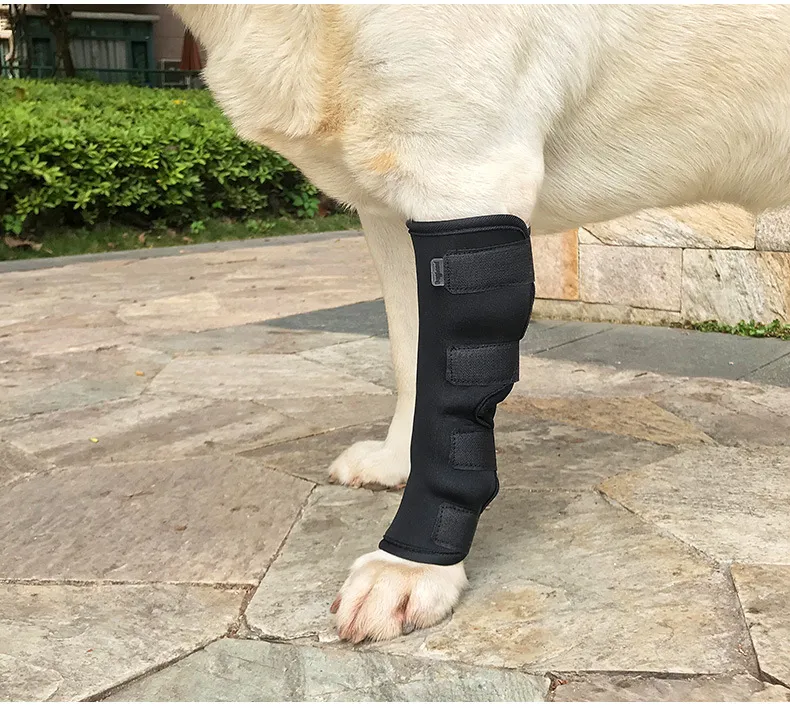 Bulk Pet Leg And Knee Bandage Strap In For Dogs Provides Joint Protection And Comfort Essential Doggy Medical Supplies And Accessories From Dh911472022 9.55 DHgate.Com