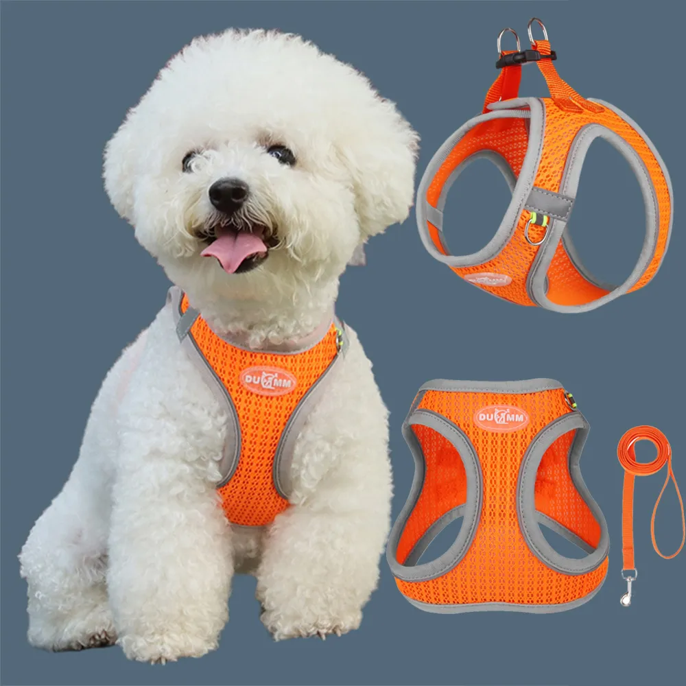 Tahari dog harness new arrivals