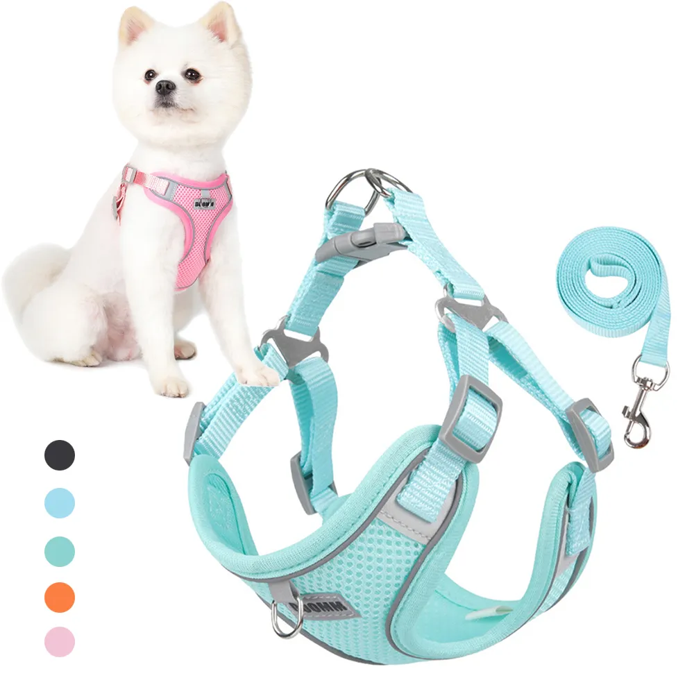 Mesh Breathable Dog Harness and Leash Set for Small Medium Dogs, Adjustable  Soft Padded Puppy Dog Vest Harnesses for Outdoor Walking, Running,