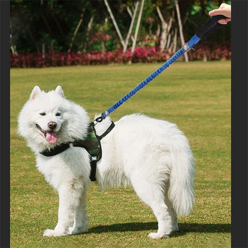 Bungee Dog Leash With Shock Absorption And Padded Handle For Dogs_voghion.com