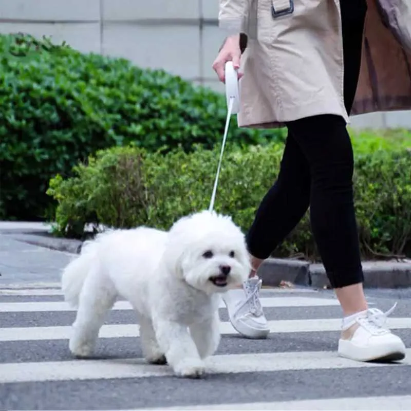 Newest MOESTAR Retractable Leash 2 Air 190g Dog Traction Rope 3M Length For 30KG Pet Withstand Max 950N Tensile Force_voghion.com