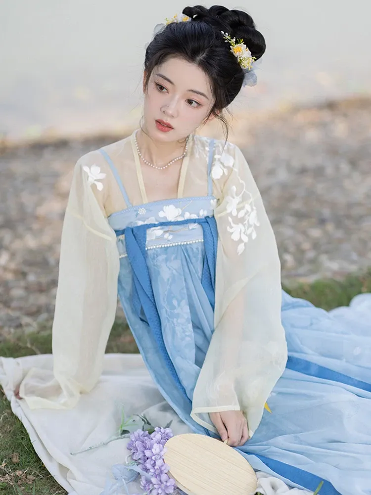 Hanfu Dress Blue Lady Tang Dynasty Qixiong Shanqun Set for Spring and Fall  Women from Dhgate Ethnic Clothing - price 165.83