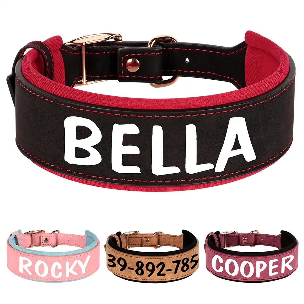Personalized Dog Collar Leather Wide Soft Cushion For French