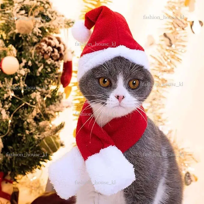 Mignon De Tenue De Noel Mignonne Comprend Des Accessoires Decharpe En Tricot Doux Pour Le Pere Noel Pour Animaux De Compagnie C44 Du 6 08 DHgate