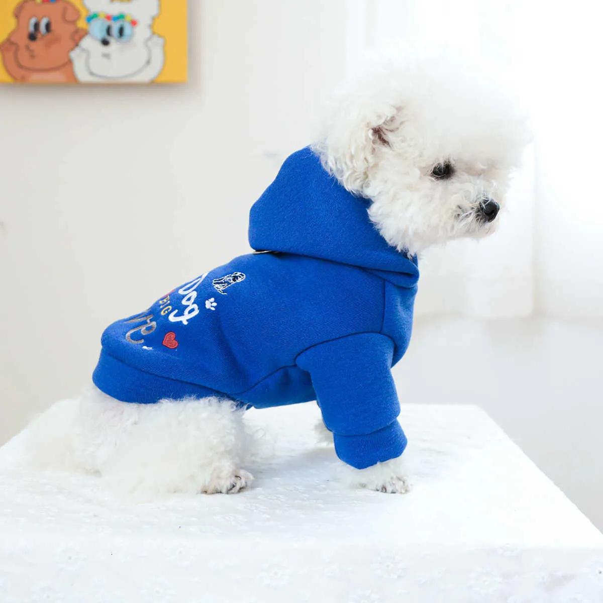 Dog Sweatshirt For Small Medium Dogs - Warm Heart Print Pullover For Chihuahua, Teddy, Puppies In Cold Weather