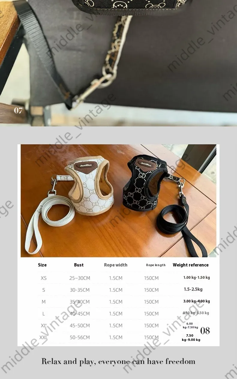 Hundegeschirr Mit Leine – Kein Ziehen, Reflektierend, Verstellbar (Brustumfang 35-60 Cm), Für Kleine/mittelgroße Hunde, Grün