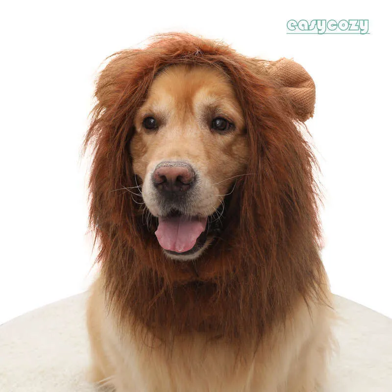 slim fit dress slacks Golden Retriever Costume Hat – Furvenzy main image 1