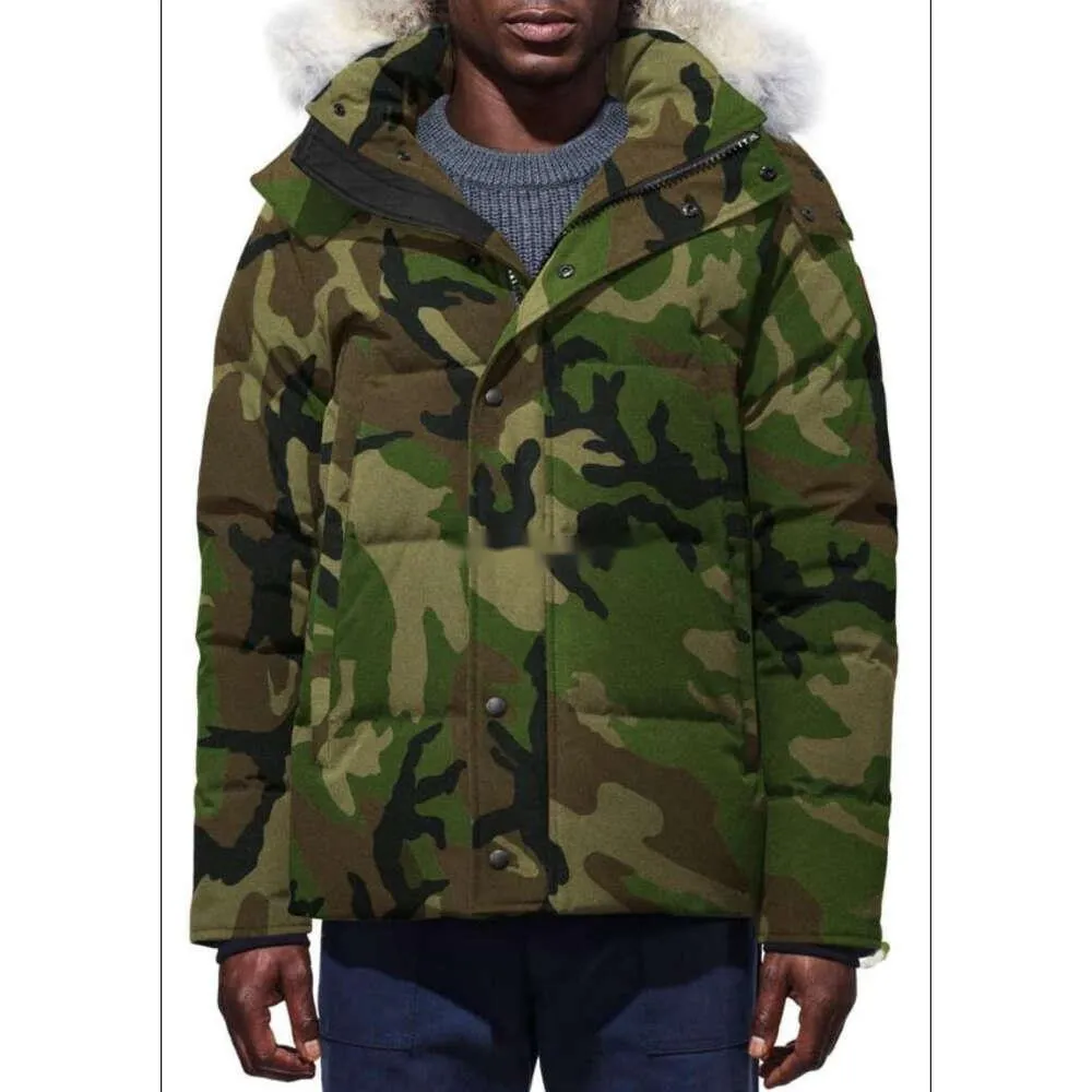 Goose down parka mens best sale