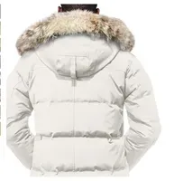 Kanada Mäntel Jassen Oberbekleidung echtes Kojotenfell Real Big Fur Hooded Fourrure Manteau Daunenjacke Mantel Hiver Parka Doudoune_voghion.com