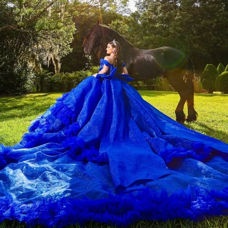 Luxurious Royal Blue Quinceanera Dress,Royal Blue Ball Gown Sweet 16 Dress Y1130
