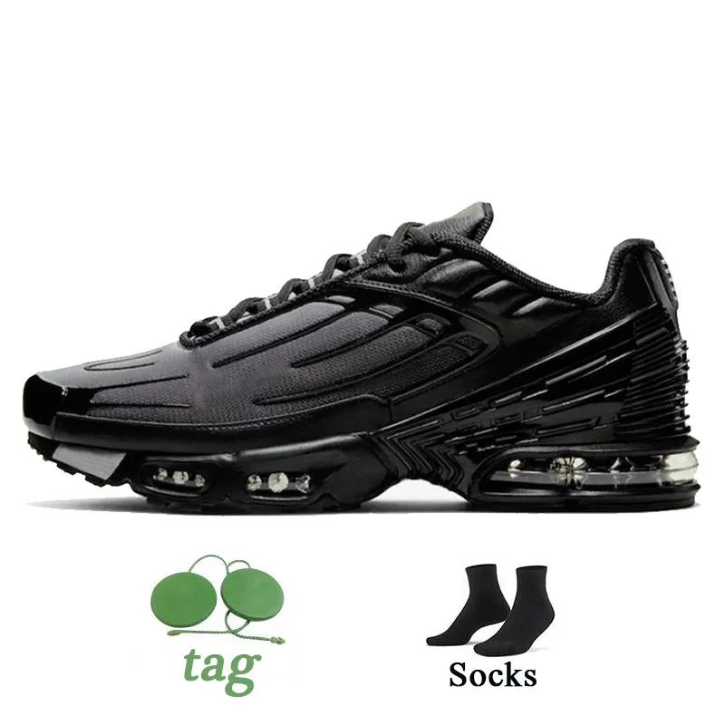 TN Plus 3