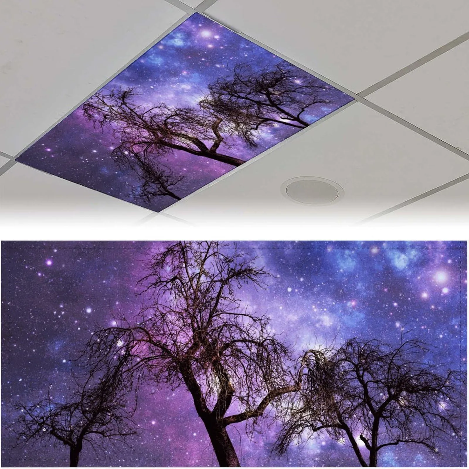 ZGONOHYE Ceiling Fluorescent Light Covers For Classroom Office Cute Cat Animal Decorative Ceiling Light Coverings Skylight Film Filter Reduce Glare Flicker Home Lamp Decor