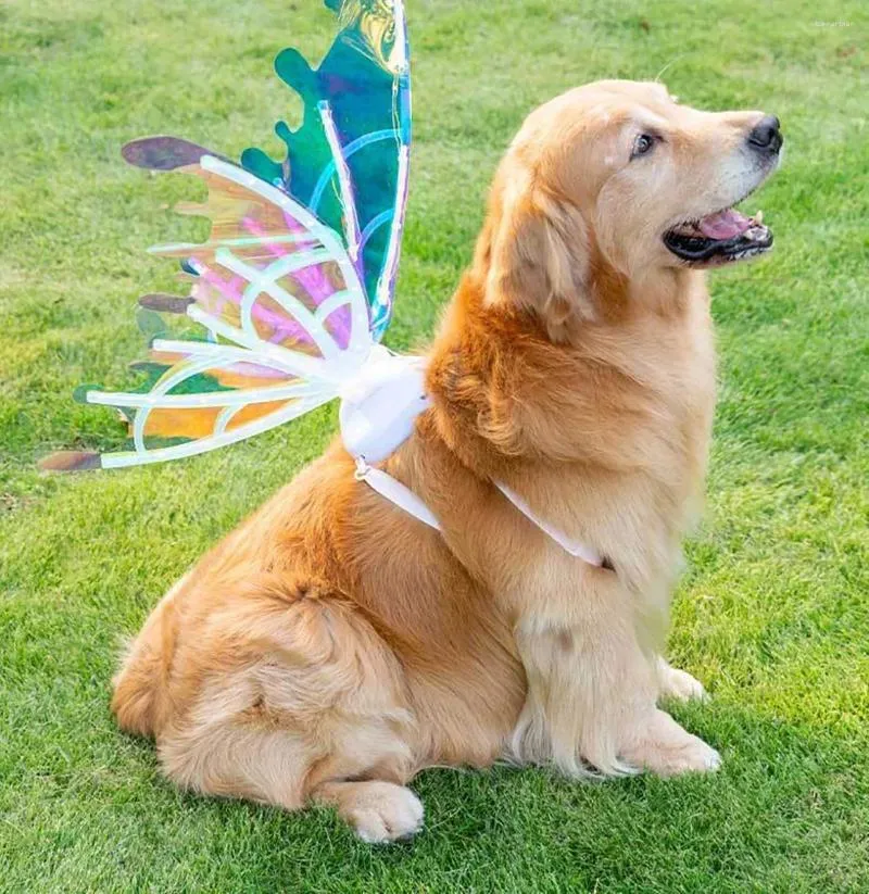 dog dressed as fairy Fairy Dog Costume - LED Butterfly Wings for Dogs main image 1