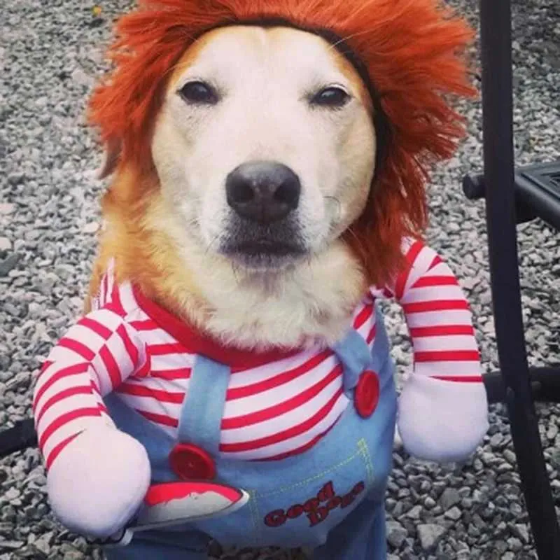 Funny Dog Costume Cute Pet Cosplay Outfit, Adjustable Halloween
