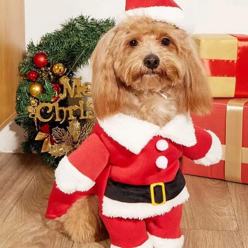 Festive Pet Santa Costume: Cozy Christmas Dog Cat Outfit Plush Gold  Velvet, Fun Holiday Roleplay, Perfect for Small to Medium Pets