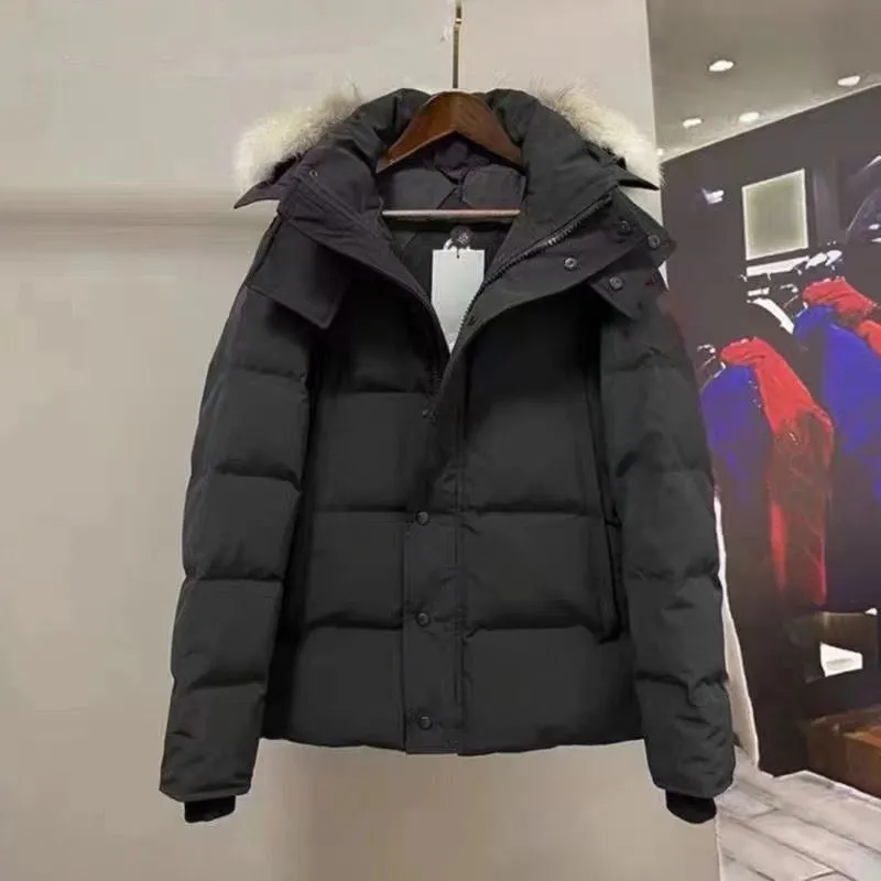 Designer Winter Puffer Eddie Bauer Down Jacket With Big Fur Hood For Men And Women Fourrure Outerwear Manteau Hiver Parkas From Ffdesignerclothes221 73.94 DHgate.Com