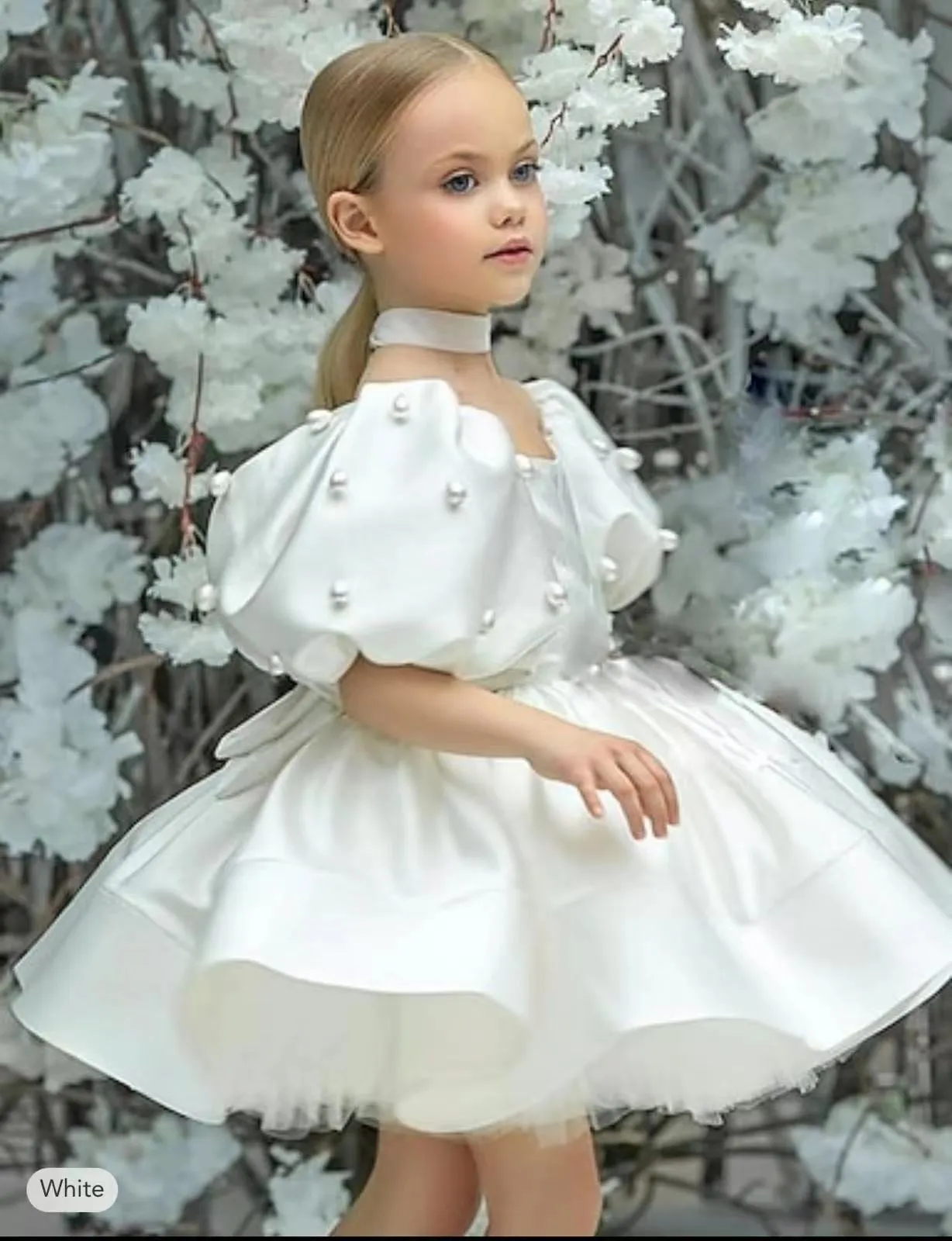 Short Fluffy Dresses For Kids Puffy Ball Gown Flower Girl Dress