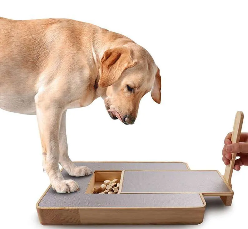 Rampa Del Marco De Trepadora De Perros De Madera: Muebles De