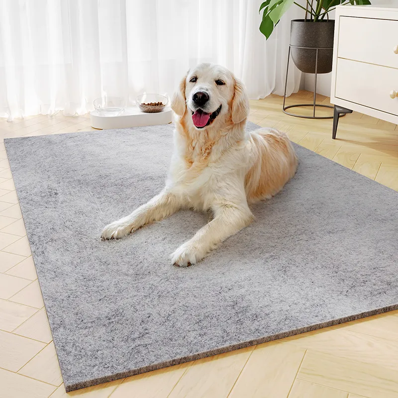 Carpet Why Do Dogs Scratch Where They Sleep Warm Bedding For Dogs