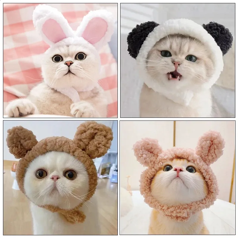 Bandeau Oreilles De Chat Blanc Et Collier En Dentelle - Ensemble Mignon Cosplay Et Déguisement