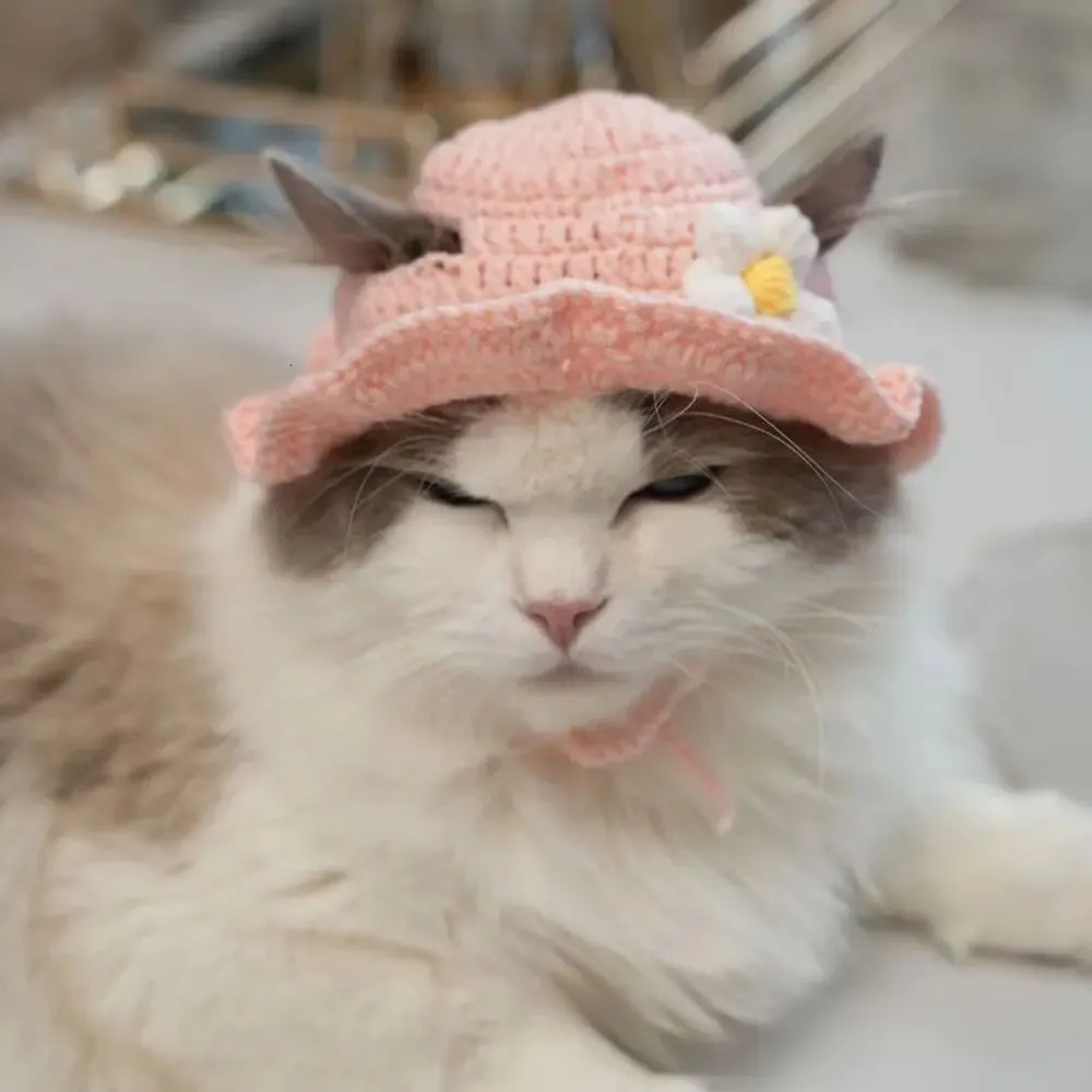 小物 ANDWANG Fluffy cat knit hat 小物 ANDWANG Fluffy cat knit hat Fluffy cat knit hat