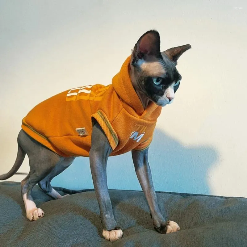 Trajes de gato velo casaco com capuz para sphynx letras grossas moletom masculino mangas curtas roupas quentes gatinhos roupa no inverno