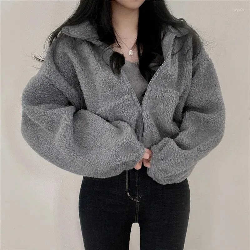 Giacche da donna Y2k Colletto corto alla coreana Cappotto caldo in lana d'agnello imitazione Streetwear Solido Cerniera allentata Cardigan spesso Top per abbigliamento donna