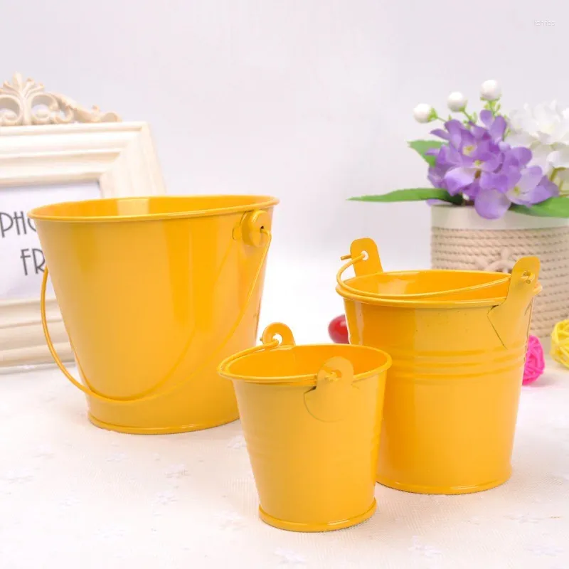 Bottles Small Tinplate Buckets Ornaments Home Decoration Plants Flower Pots  Metal Crafts Creative Bonsai Holder Iron Bucket From Lizhiibs, $11.23