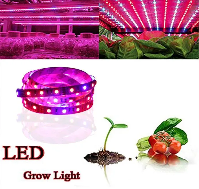 Tam Spektrum SMD5050 LED Grow Strip Işık Su Geçirmez LED Hidroponik Bitki Büyüyen Işık Büyüyen Lamba Büyüyen Kutu Kırmızı Mavi 416669604