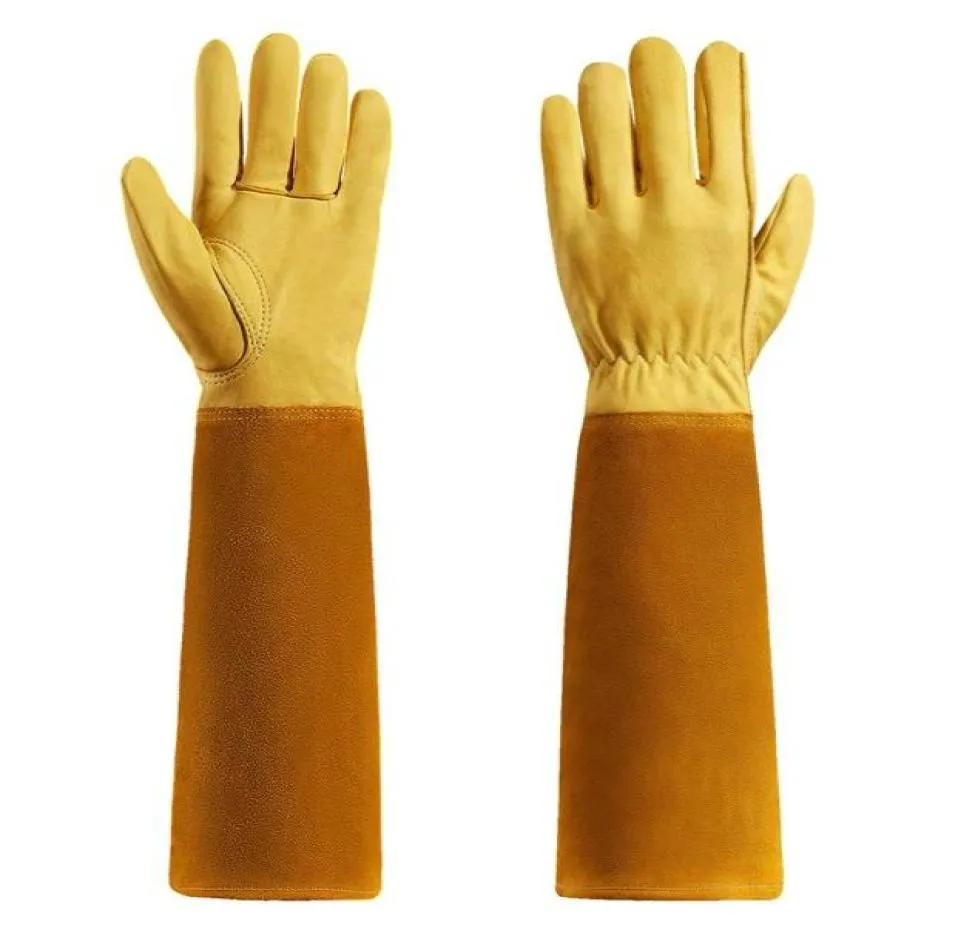 Gartenhandschuhe für Damen und Herren, Thronsichere Rosenschnitt-Ziegenlederhandschuhe mit langem Unterarmschutz, Stulpe1177477