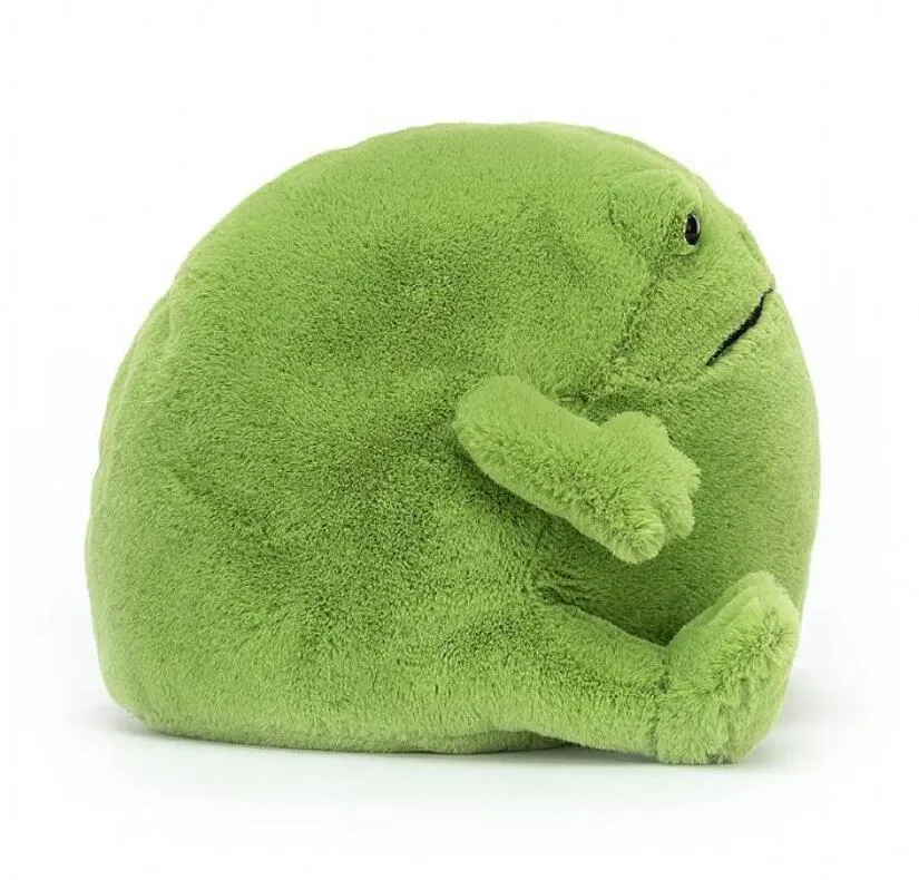 Pluche poppen 20 cm Kawaii Ricky Rain Frog Knuffel Zachte knuffelpop Mooie dikke kikkerpop Babyspeelgoed Plushie Cadeauspeelgoed voor kinderen Meisje