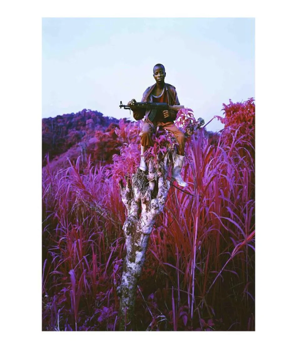 Richard Mosse pographie Highland affiche peinture impression décor à la maison encadré ou non encadré Poppaper matériel 6070874