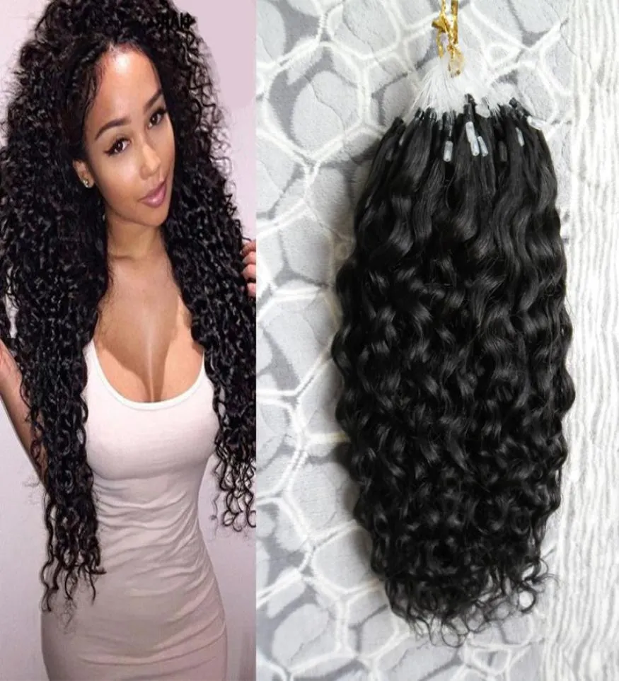 Kinky Curly Micro Loop Hair Extensions 100G Remy Micro Loop Kinky Hair Pre Bonded Extension 1GS Micro Ring Hair Extensions4275522