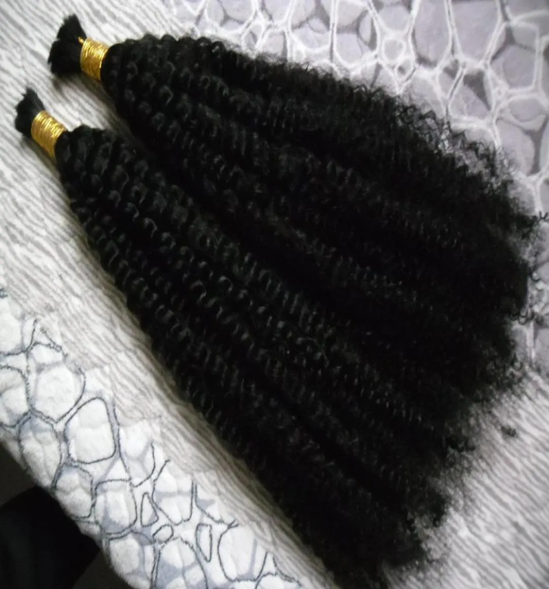 2 Bundles mongolian kinky curly hair 200g No Weft Human Hair Bundles afro kinky curly human hair for braiding bulk no attachment7847009