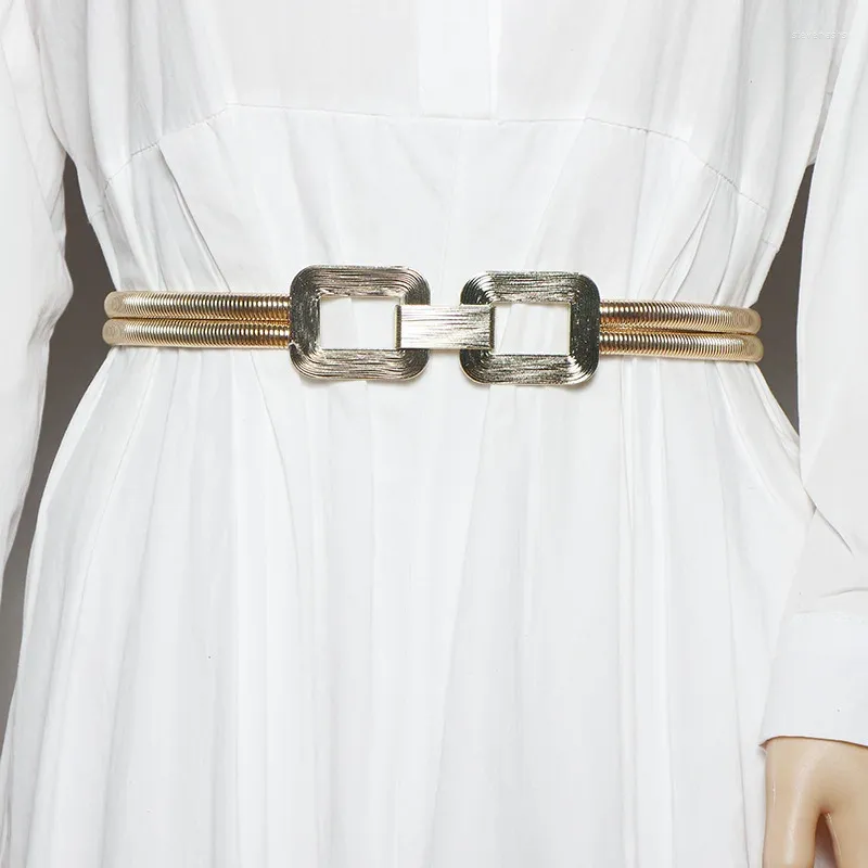Belts Fashion Advanced Sense Spring Golden Leaf Elastic Belt Sealing Women's Dress Waist Chain