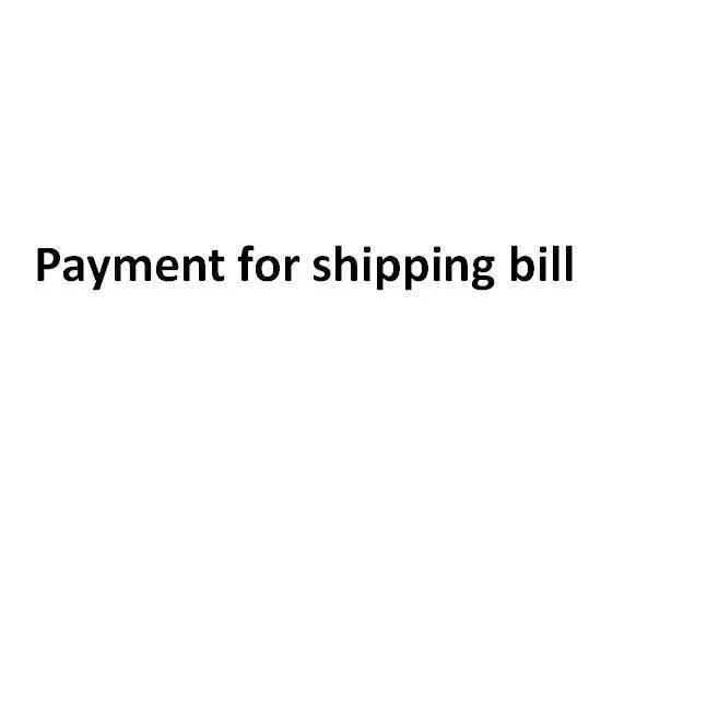Shipin Bill Expert Bagsのカスタムハンドバッグの支払い品質の最新スタイルボックス