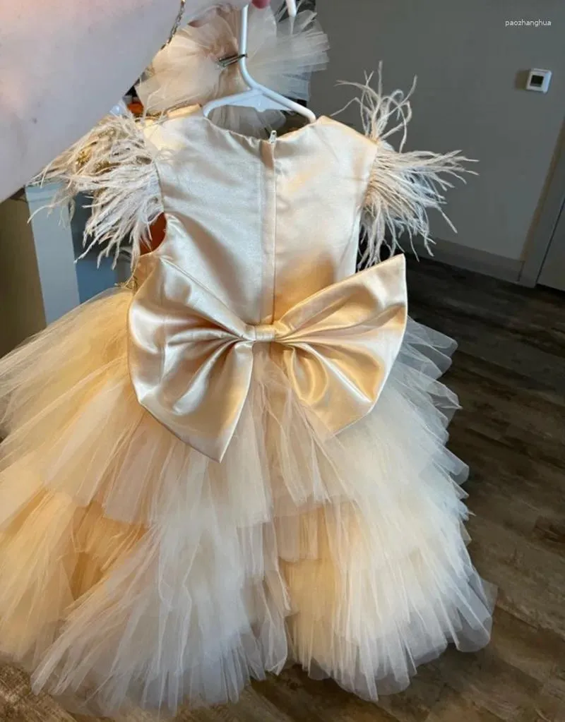 Robes de fille Champagne robe de bébé plume perles broderie première Communion pographie accessoires robe d'anniversaire
