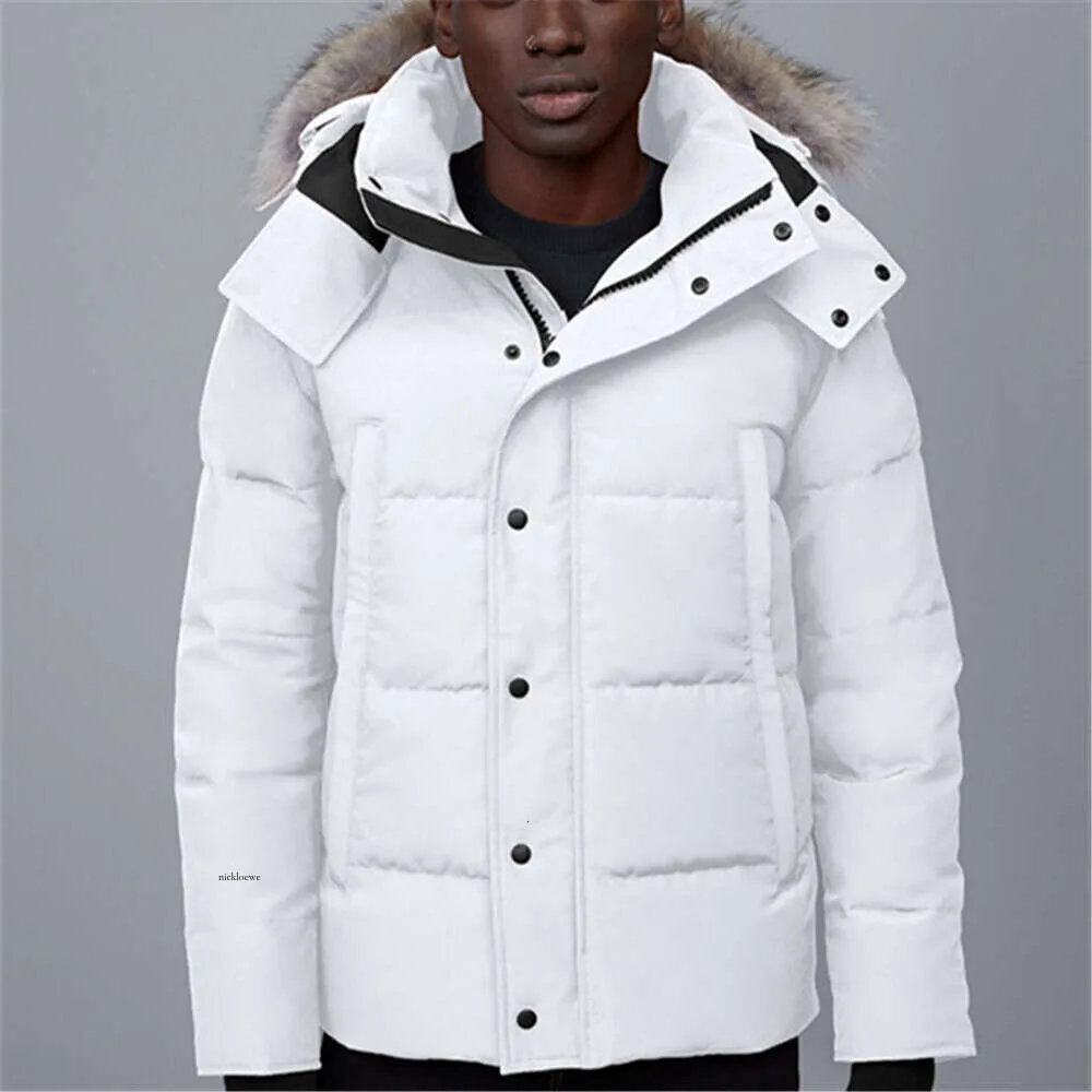 Дизайнерская мужская парка, мужская длинная зимняя куртка. Дизайнерский люксовый бренд. Зимний пуховик, мужское толстое теплое пальто. Модная мужская ветрозащитная куртка. Открытая повседневная куртка мужская z6.